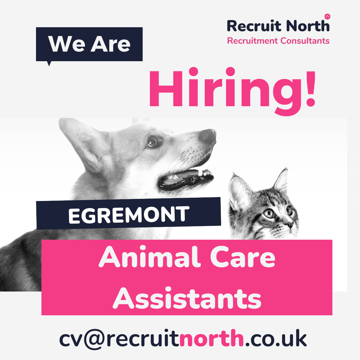 We're Hiring! Animal Care Assistants - Egremont, Cumbria.
